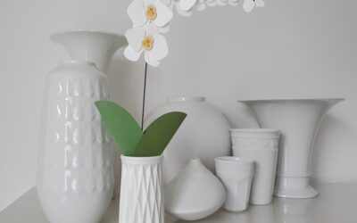 Orchidee in Raysin-Vase