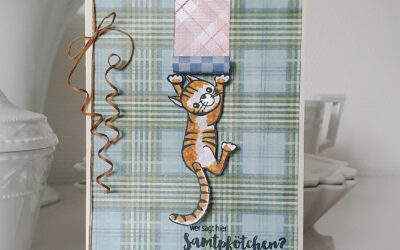 Geburtstag mit Katze
