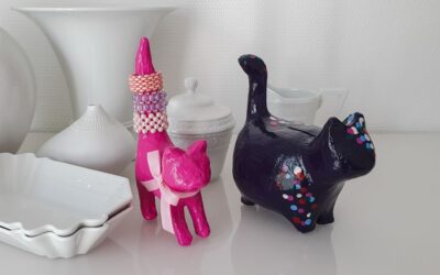 Die Reha-Katzen
