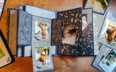 Ein Hundebuch – Die etwas andere Geburtstagskarte